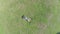 Zoom-in aerial vertical view of young guy sleeping on grass