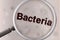 Zoom in bacteria character with magnifier.