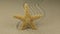 Zoom. Beautiful starfish lying on a zigzag made of sand.