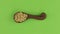 Zoom of a clay spoon with barley grain. Chroma key, green screen.
