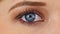Zoom Close-up Macro Shot of Female Human Eye Blinking (Key-able Green Screen)
