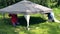 Zoom in father and son fix tent cloth roof on garden arbour