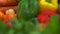 Zoom in focus on assorted fresh vegetables
