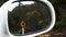 Zoom in on a kiwi road sign reflected in a car mirror