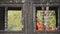 Zoom Out - Buddhist Monk Meditating in Temple Window - Angkor Wat, Cambodia