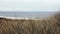 Zoom Out From Dune Grass Tight Shot To Show Ocean