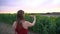 Zoom out shot of woman using smartphone to take picture of sunflower plants growing in farm during sunset