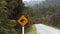 Zoom in shot on a kiwi road sign