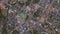 Zoom in from space and focus on Germany, Chemnitz. 3D Animation.