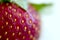 Zoom of a strawberry