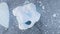 Zoom view of iceberg. Antarctica aerial flight.
