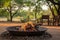 zoomed-in shot of a fire pit at a safari camp