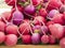 Zoomed in version of Multicolored radishes on a table for sale at the market