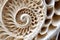 zoomed-in view of a spiraling nautilus shell pattern