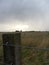 Zoomed in view of wooden fence post with wheat field in the background