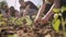 A zoomedin shot of a group of students each holding a different gardening tool as they work together to prepare the soil