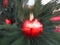 Zooming out from Ornaments on the Town Christmas Tree2