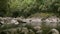 A zooming shot of a large pool on the Mossman River