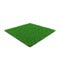 Zoysia Grass on white. 3D illustration