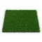 Zoysia Grass on white. 3D illustration