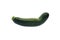 Zucchini curved smooth thick