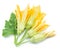 Zucchini flowers.