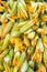 Zucchini flowers for sale