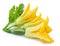 Zucchini flowers on a white.