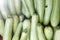 Zucchini. Fresh zucchini, green vegetables  courgette, summer squash. Organic green zucchini pattern. Vegetable background texture