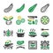 Zucchini icon set