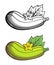 Zucchini illustration