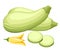 Zucchini isolated on background. Squash whole. Fresh vegetable marrow isolated. Oblong, green squash. Vegetable marrow courgette o