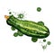 Zucchini with paint drops