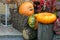 zucchini pumpkins in a basket on a chock autumn layout halloween concept