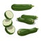 Zucchini set. Whole vegetable, cut, single and group. Flying slices. Farm fresh veggies. Vector illustrations