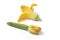Zucchini and a yellow flower