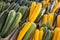 Zucchini and Yellow Squash at Farmers Market