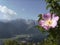 Zugspitze massif in Wetterstein mountains in Bavaria, Germany