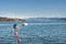 Zurich lake with alps