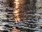 Zurich lake at sunset- gold fire sun sparkles on silver black rippling water panning