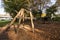 Zurich Playground with wooden Girafe and elephants structures