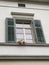 Zurich Switzerland interesting house with animal like decoration on window