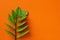 Zuzu plant or Zamioculcas zamiifolia fresh stem with green leaves on a bright orange textured backgrond.  Blank for greeting card