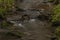 Zvikovsky creek with green grass and stones near Velesin town in south Bohemia