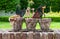 Zwalm, East Flanders Region - Belgium - Close up of decorative plants and garden toys in a stone pot