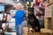 Zwergpinscher waiting in pet shop