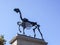 Â«Gift horseÂ» statue by Hans Haacke, Bronze skeleton of a horse on the Four Plith in Trafalgar Square