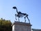 Â«Gift horseÂ» statue by Hans Haacke, Bronze skeleton of a horse on the Four Plith in Trafalgar Square