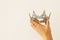 ×—Woman& x27;s hand holding a crown for show victory or winning first place. White background. Copy space. .