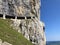 Ã„scher cliff or Ã„scher-Felsen Aescher-Felsen or Ascher-Felsen in the Alpstein mountain range and in the Appenzellerland region